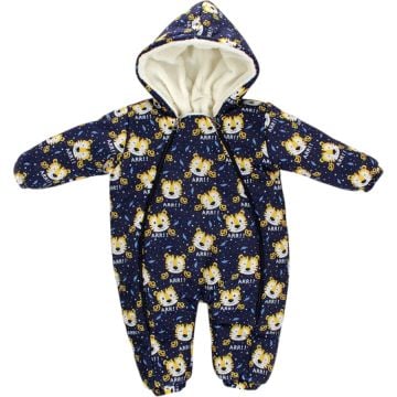 KAPLAN BASKILI KOZMOMONT