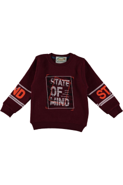 Pundikids Erkek Çocuk Of Mind Baskılı Selanik Sweath Bordo - 8 - 9 Yaş