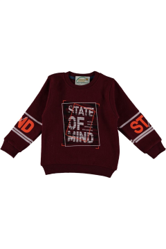 Pundikids Erkek Çocuk Of Mind Baskılı Selanik Sweath Bordo - 10 - 11 Yaş
